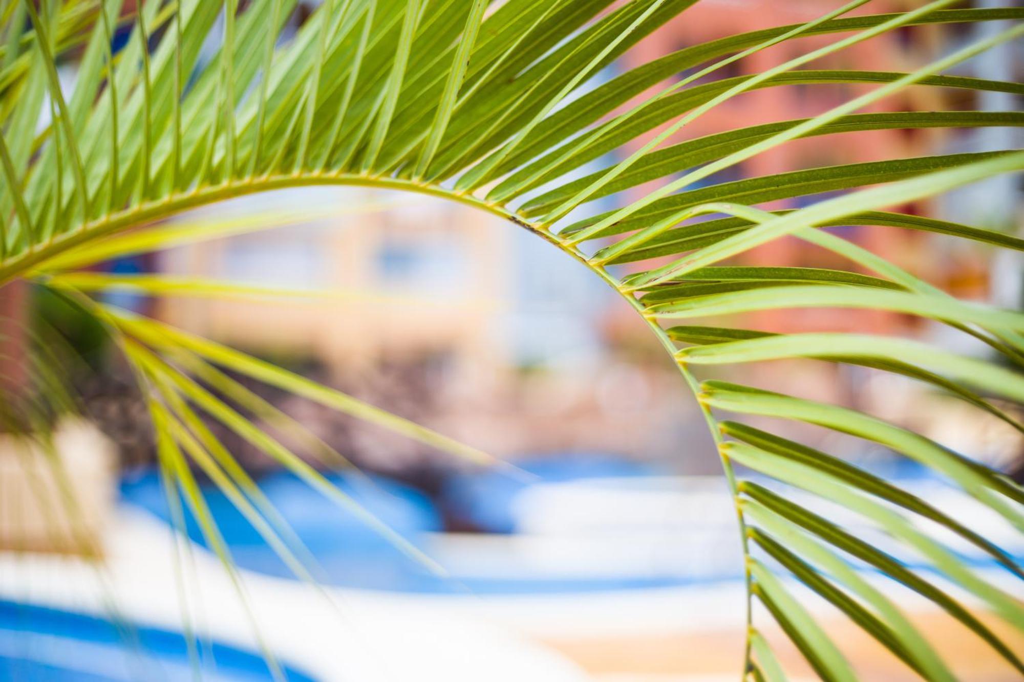 Apartamento Turistico Verdemar 2 La Manga del Mar Menor Buitenkant foto