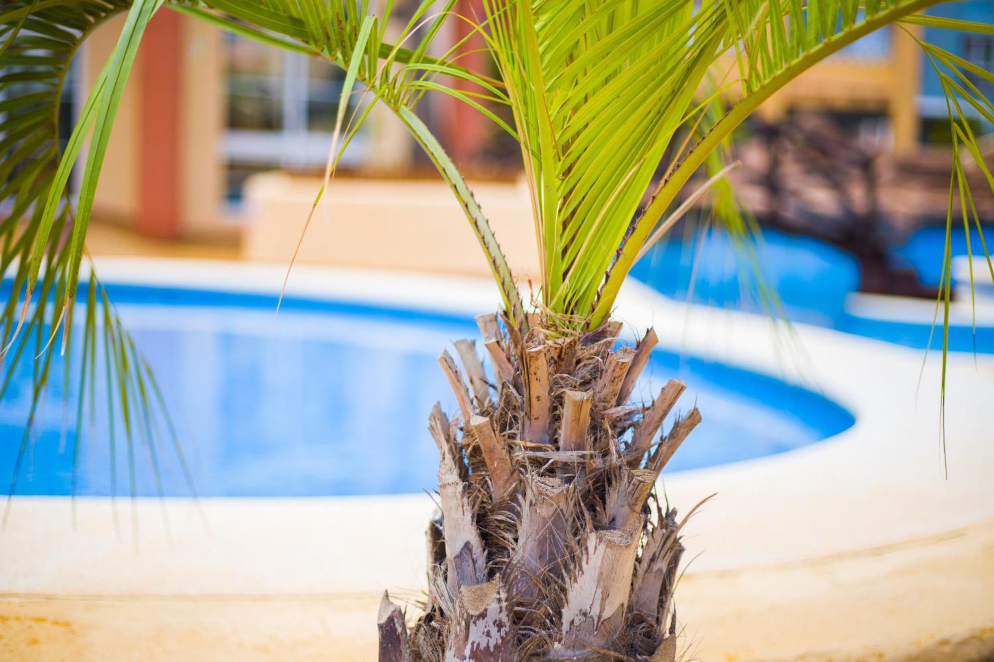 Apartamento Turistico Verdemar 2 La Manga del Mar Menor Buitenkant foto
